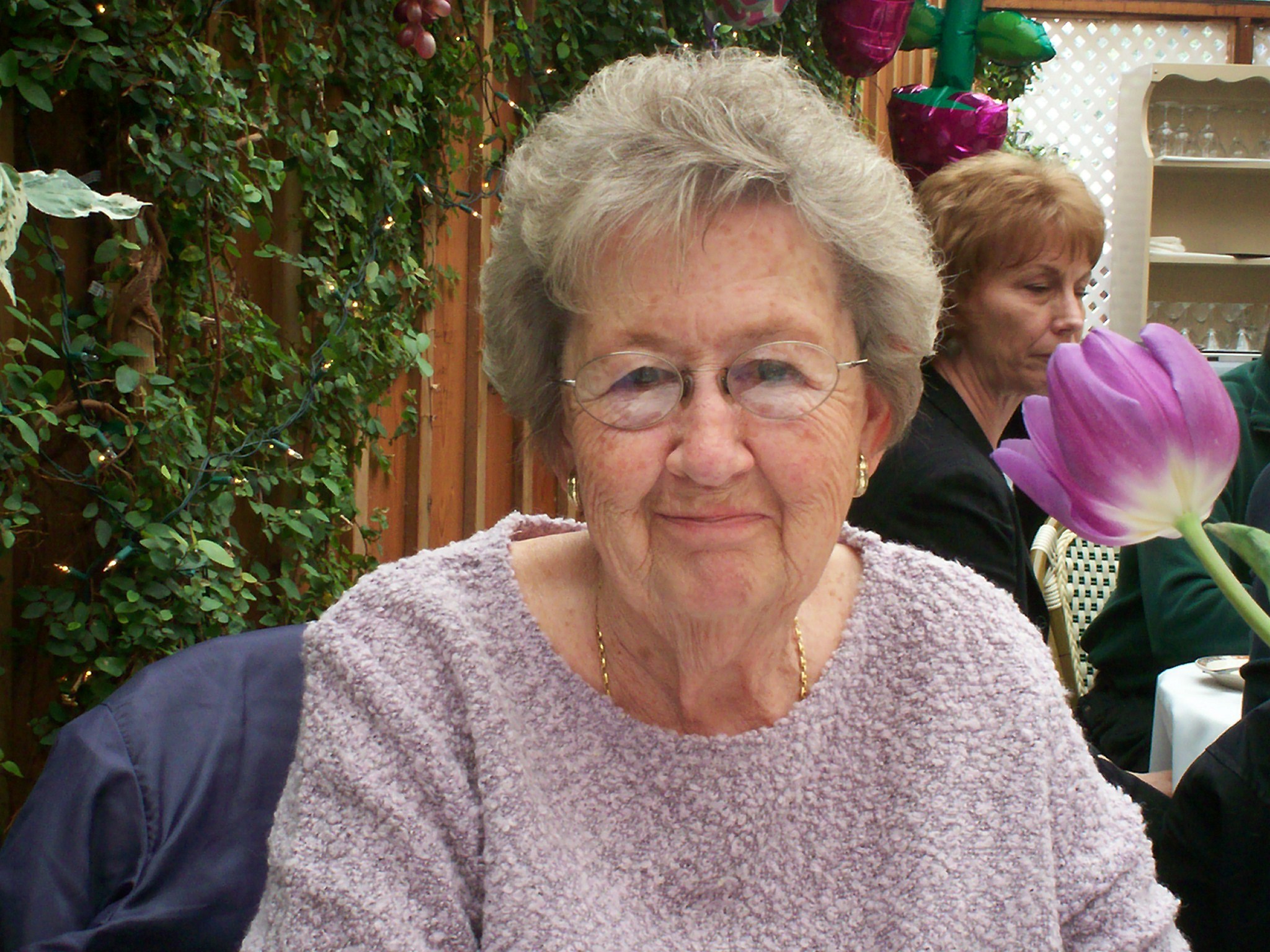 vivian shannon