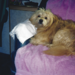 howard herrington Gallery