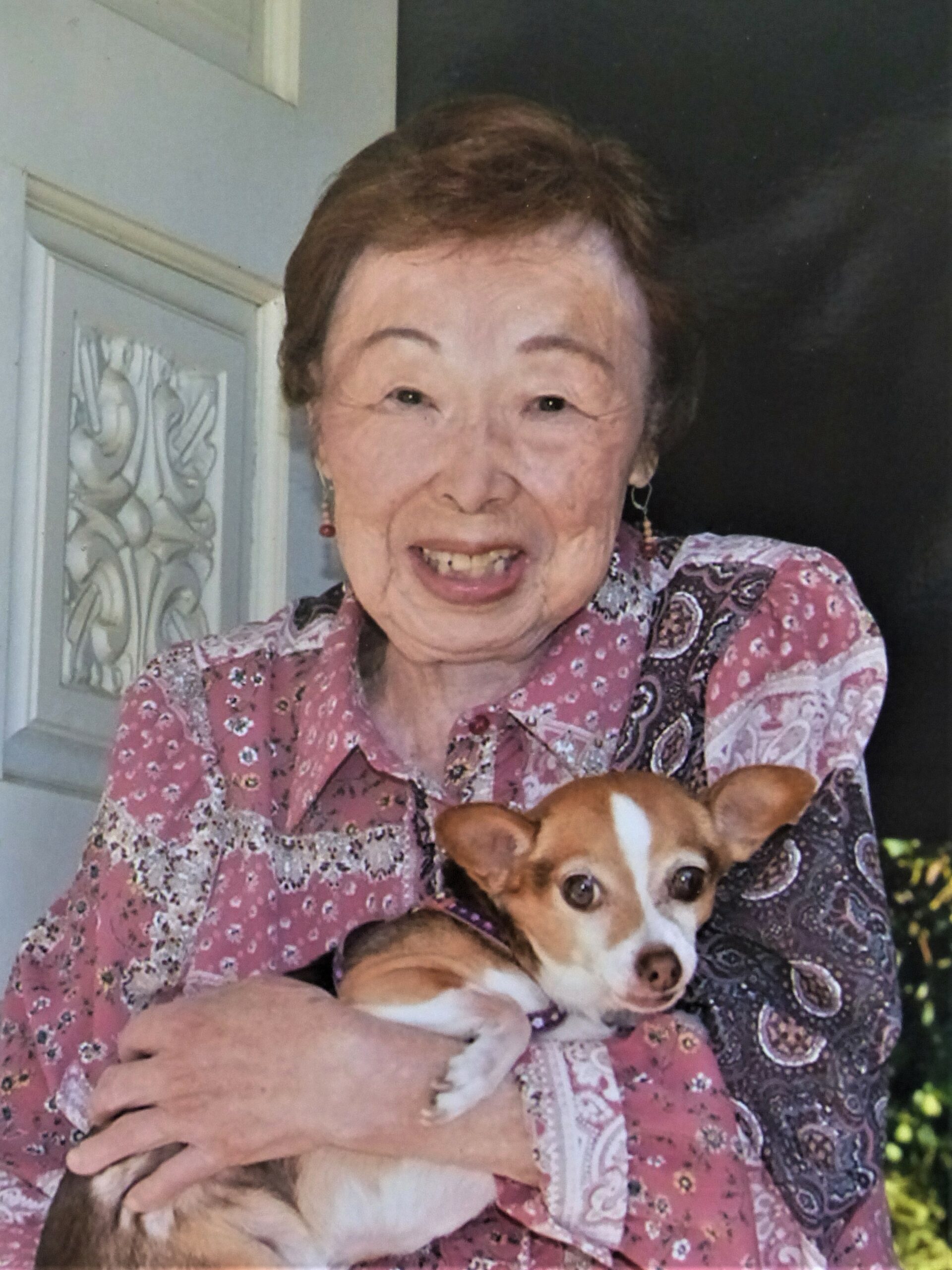 yaeko yasuhiro