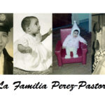 armando perez Gallery