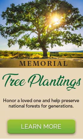 Tree Planting Sidebar