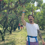 christopher lay Gallery