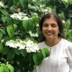 shashikala mahajan Gallery