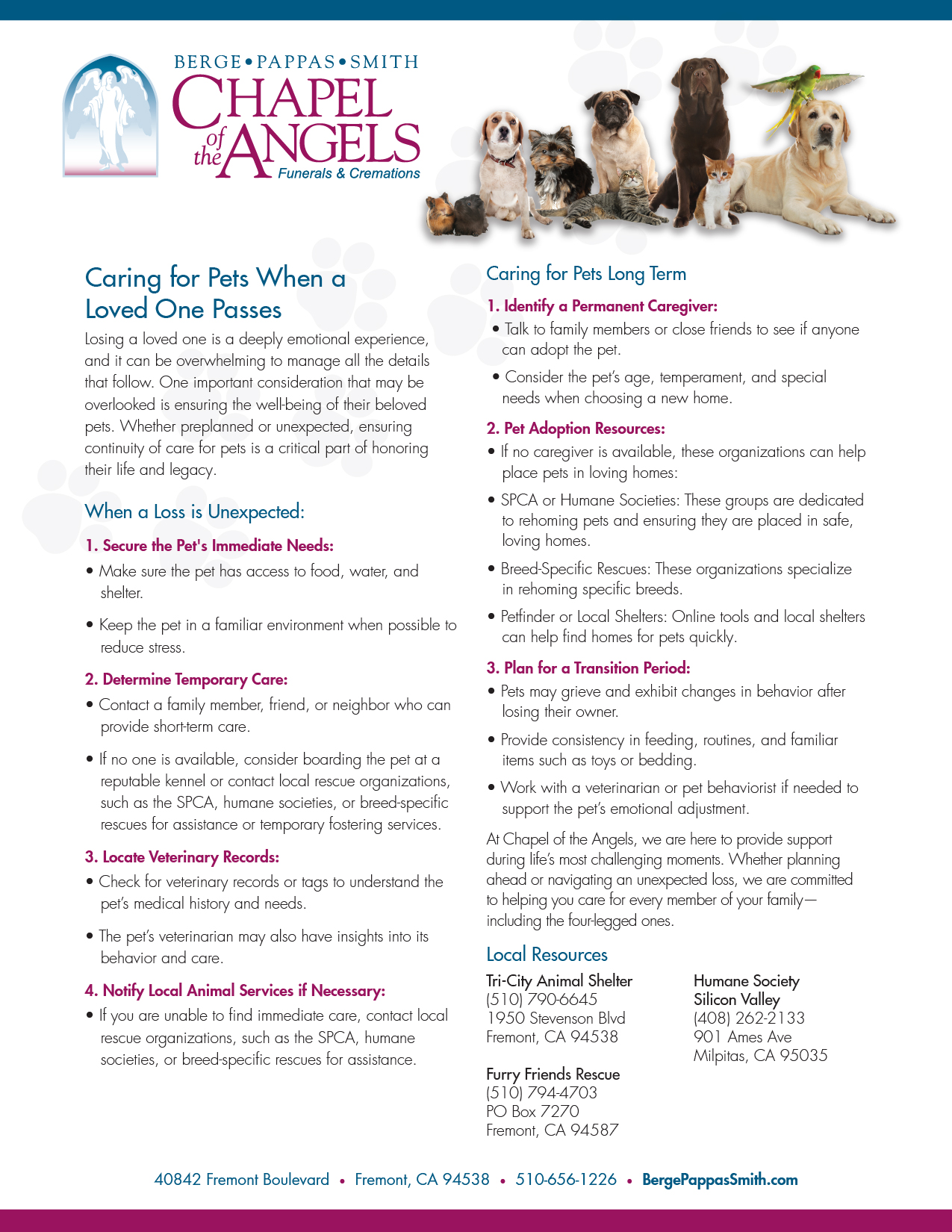 Pet Care Guide After Loss