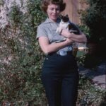 joan muschinske Gallery